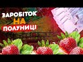 Як заробити на зборі полуниці в Україні? Заробіток під час війни. RUS SUB