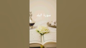 سورة البلد #تلاوات #القرآن_الكريم