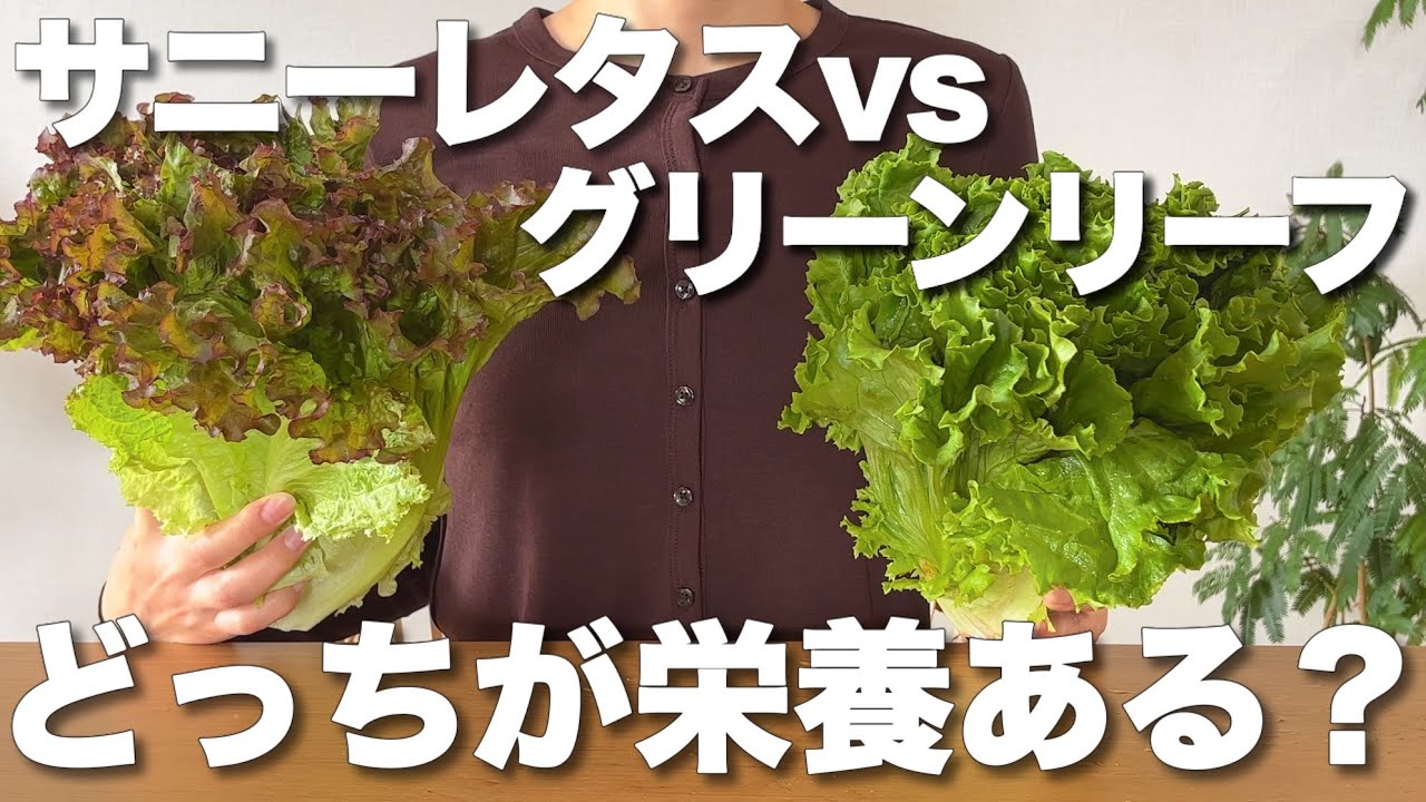 フラワー・リース sunny lettuce Sunny Lettuce vs. Green Leaf: Which should you buy? A quick guide