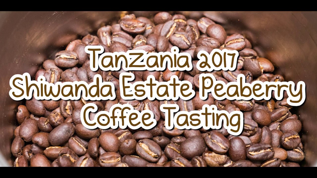 Tanzania 2017 Shiwanda Estate Peaberry Coffee Tasting | all day i eat like a shark