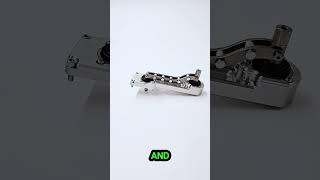 Celebrity Sikky 5th and 6th Gen TR6060 8" Shifter Net Worth