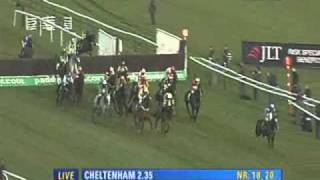 2010 Paddy Power Gold Cup