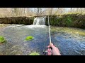 TROUT Fishing with NEW Spinner Technology (BIG TROUT!)