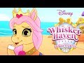 Whisker Haven Tales with the Palace Pets | Season 3: Full Episodes 1-8 | Disney