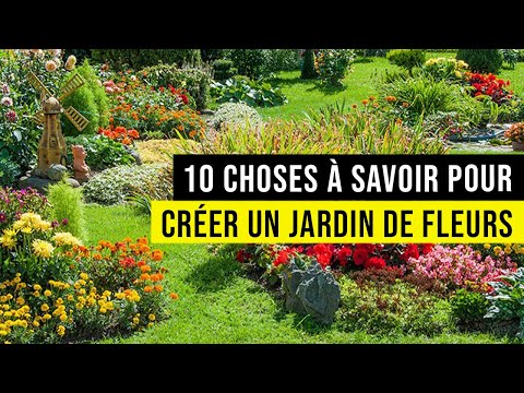 Vidéo: Fleurs champêtres : que choisir pour un jardinier débutant