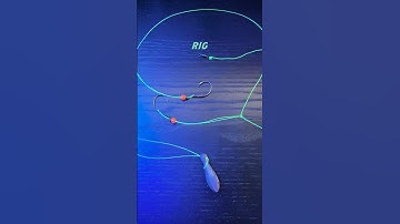 How to Tie a Hi-Lo Rig for Catching Striped Bass! #shorts #fishingtips #stripedbass