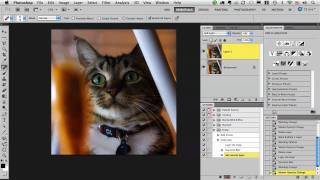 Two Minute Tip: Creating Basic Actions (Actions, Part 1 of 4)