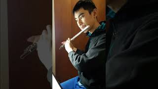 Shmuel Cohen - Hatikvah (Flute Vers.)