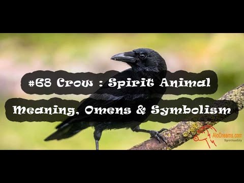 92 Crow Spirit Animal - Meaning and Interpretation - YouTube