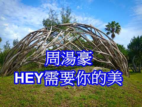 [鋼琴音樂]周湯豪- HEY需要你的美