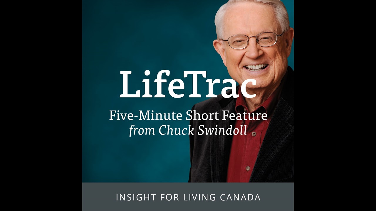 Are You a Contented Cow?