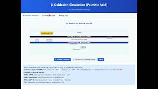 Learn β-Oxidation Simulation | Pharmacy Tutorial | Medical Education