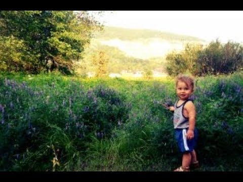 Фильм на 2 года