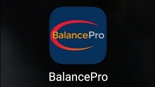 BalancePro App Project | balancepro.in Application Development | #AdiSDE screenshot 4