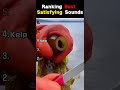 Ranking Best Satisfying Sounds #asmr