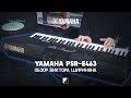 Обзор синтезатора YAMAHA PSR-E463