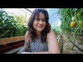 The Preserving Tip and Easy Recipe EVERY Tomato Grower Should Know | VLOG