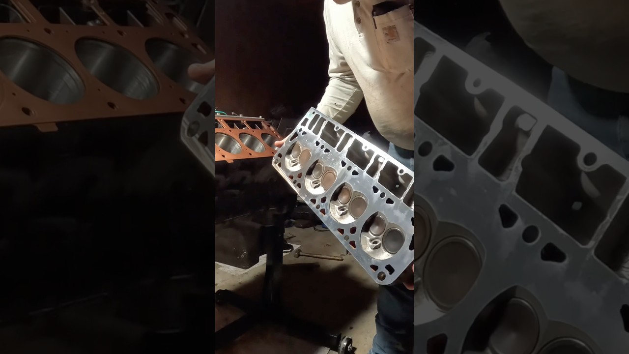 Мы в восторге от наших новых «коричневых» головок 😎 