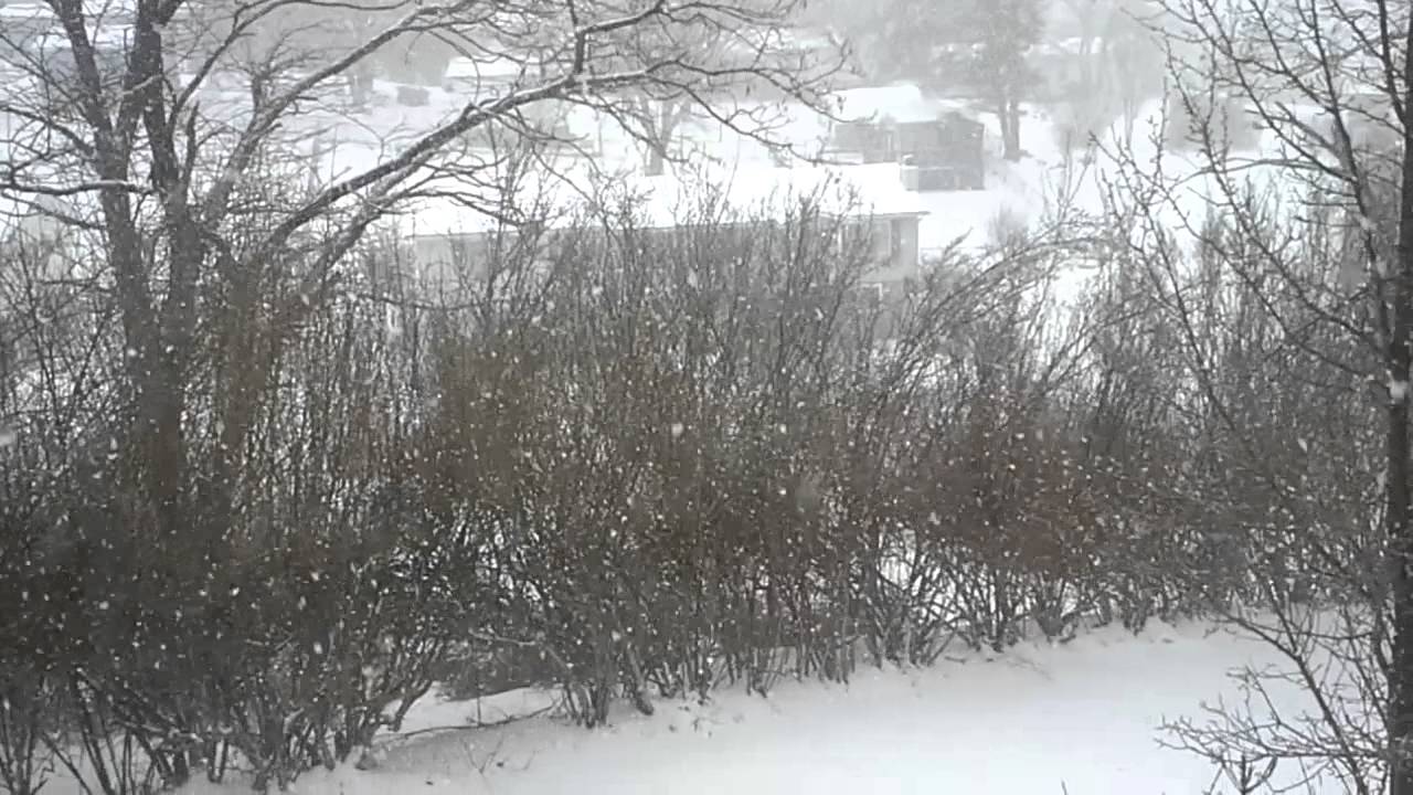 Princeton,WV snow storm. YouTube