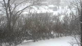 Princeton,WV snow storm.
