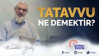 Tatavvu ne demektir?