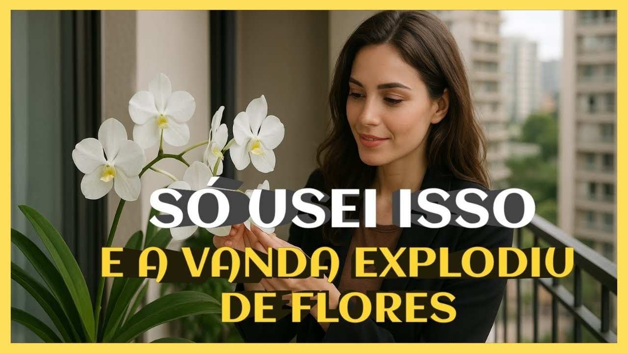 Só usei isso e a Vanda explodiu em flores! orquídeas em casa