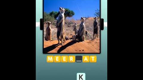 100 Pics Animal Planet Pack Level 41-50 Answers