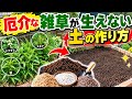目からうろこの雑草対策｜笹やスギナやドクダミが生えなくなる土の作り方