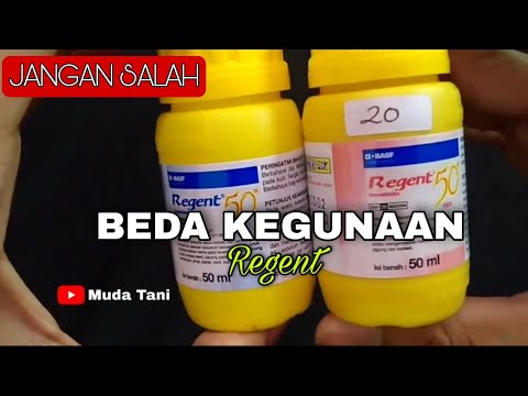 Video: Label Pada Pestisida yang Membahayakan Lebah: Apa Arti Peringatan Bahaya Lebah