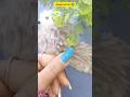 simple nail art designs at home for small nails#nailart #viralshorts