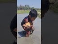 Traditional Carp Fish Catching In Mud Water Pond