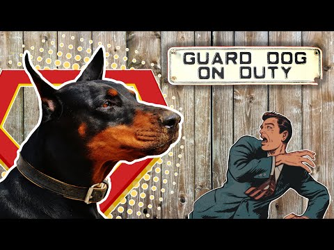 Videó: Watchdog vagy Guard Dog? A különbség megértése