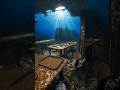 POV Fish 🐟 Exploring a Sunken Shipwreck | Hidden Underwater World #shorts #viral