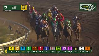 Vidéo de la course PMU PREMIO NO LO PILLAN
