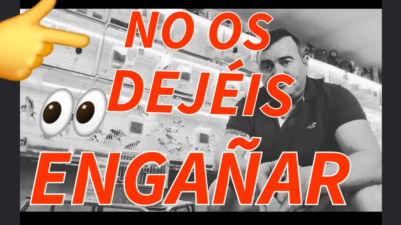 NO 🇪🇦OS 🐦DEJÉIS👀 ENGAÑAR 🚫👀👀