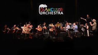 CHAMELEON ORCHESTRA | Windows to the East