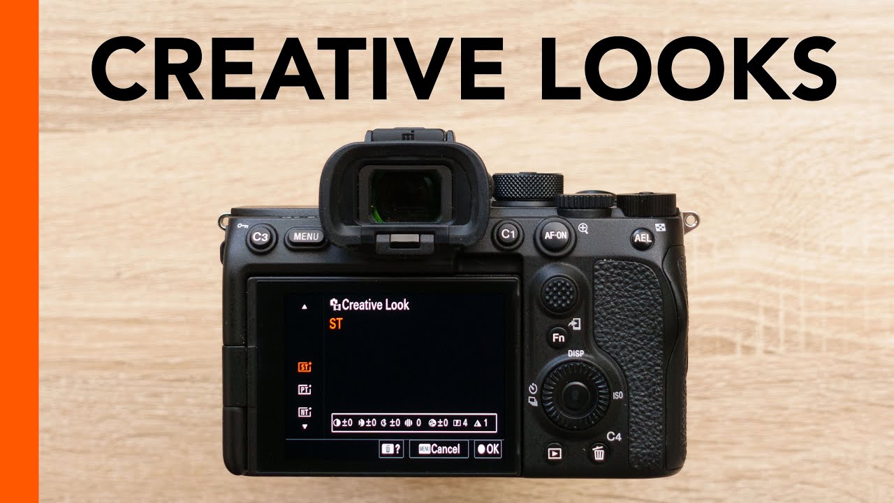 Sony A7S III, A7IV, FX3, FX30 - Creative Looks (Standard, Portrait ...