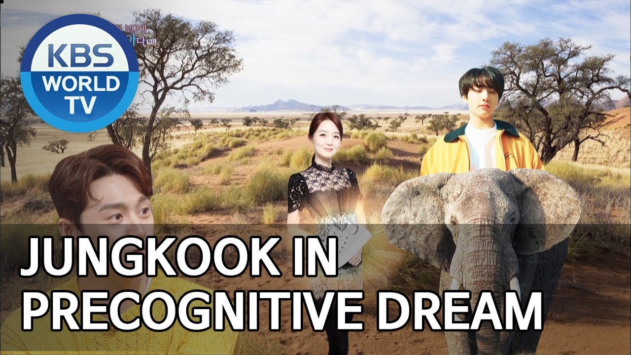 Sangjin’s wife had precognitive dream about Jungkook [Happy Together/2019.06.27]