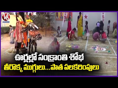 Telugu States Celebrate Sankranti with Happiness & Traditions | V6 News - V6NEWSTELUGU