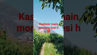 ARANG kel Azad Kashmir arangkel shortvideo getviral shorts