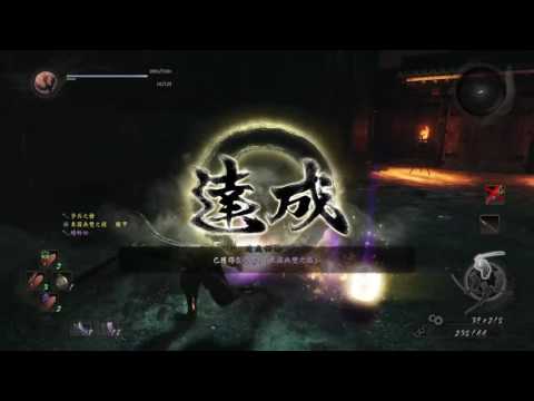 仁王 - 長槍 上段磊落刷本多