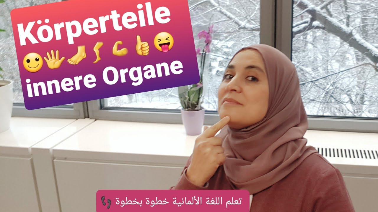 تعلم اللغة الألمانية خطوة بخطوة- الدرس 36: أجزاء الجسم و أعضاؤه الداخلية بصيغة المفرد والجمع 💪👌👍