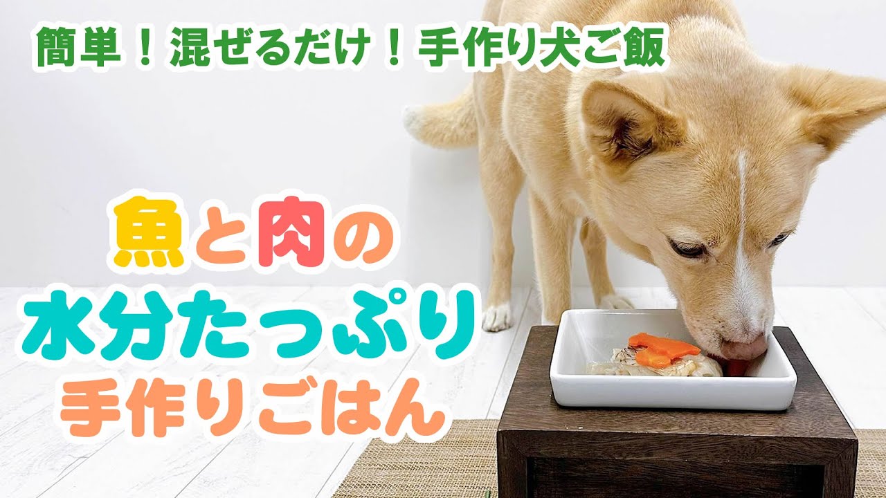 簡単手作り犬ご飯 美味しく水分を摂る 魚と肉の水分たっぷり手作りごはん 帝塚山ハウンドカム Youtube