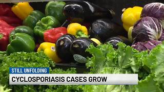 WNEM Afternoon Extra: Cyclosporiasis cases grow in mid-Michigan