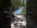 Hidden Beach Entrance in North Palm Beach 🌴 | John D. MacArthur State Park