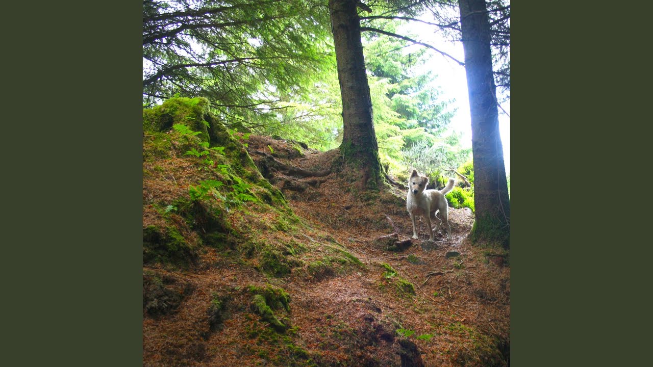 The Cutting Room Floor