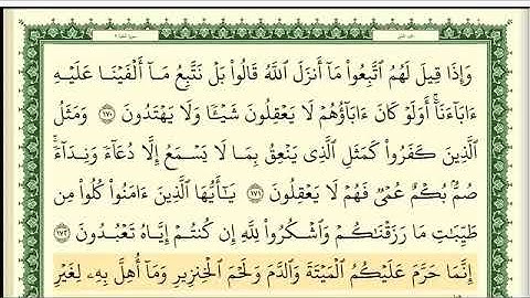 Bakara Suresi 25. Sayfa - Eymen Suveyd Hoca سورة البقرة ايمن رشدي سويد