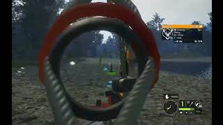 Hunting a Diamond Fallow with the Bow!