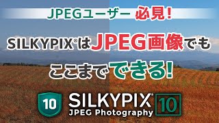 JPEGユーザー様必見！　画像調整ソフト「SILKYPIX」はJPEG画像でもここまでできる！