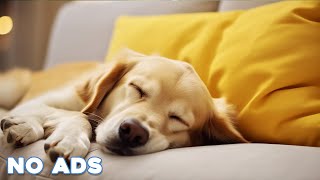 12 Hours Music Relax 🎵 Calming Piano Music For Dog ♬ Instantly Soothe Your Anxious Dog